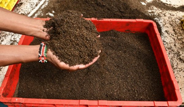 Zihanga-fertilizer-1-min-1024×575 Zihanga-fertilizer-1-min-1024x575
